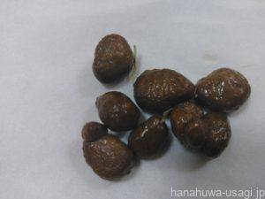 仔うさぎにおやつを与え始めたら下痢した…どうすればいい？