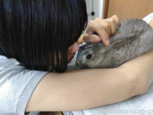 ⑤うさぎは獣臭さが一切ない