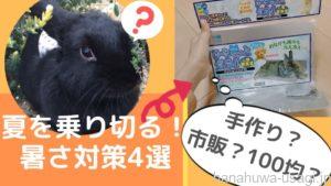 うさぎ暑さ対策～100均・手作り・クーラーハウスで熱中症対策