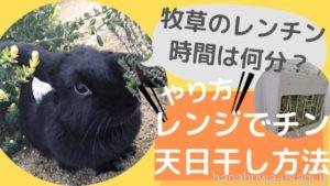 《レンチン時間》牧草チモシーをレンジで乾燥・香りを出す方法～レンジで何分？加熱時間はどれくらい？