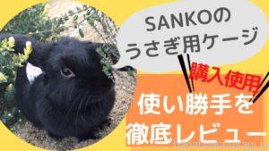 《買ってみた》うさぎ用ケージSANKOイージーホームをレビュー！使い勝手を飼い主目線で細かく紹介