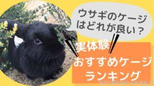 《飼育者が語る》うさぎ用ケージおすすめランキング！後悔しない選び方のポイント教えます