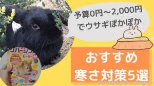 【予算2,000円以内】うさぎのオススメ寒さ対策5選！うさぎに必要な冬支度とは？