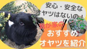 【無添加】うさぎ喜ぶおすすめおやつ～買って良かった点・悪かった点レビュー付き！