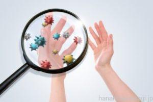 うさぎの給水ボトルは汚い？水洗いで十分じゃないの？