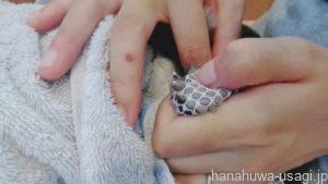 ③洗濯ネットも使って血管2～3ミリ上の爪を切る