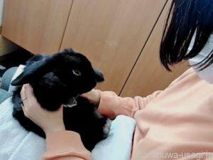 最終的にはフィーリングを大事にする