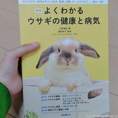 やりすぎ注意 うさぎのブラッシングはいつから 頻度は グルーミング不足による悪影響を解説 Hanahuwaうさぎ
