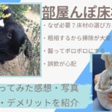 【比較口コミ】うさぎ部屋んぽ床材を齧る・滑る・粗相…悩み別おすすめマットを紹介