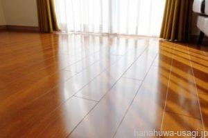 うさぎフローリング床で部屋んぽさせたらダメな理由とは？