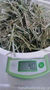 牧草嫌いうさぎでも《レンジでチン》で牧草を食べる可能性大！