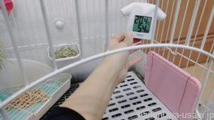 うさぎ暑さ対策はいつから？何度から暑さ対策が必要？