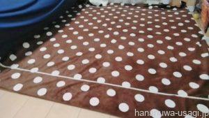 絨毯類は設置が楽だけど齧るし粗相するリスクあり