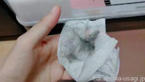 うさぎ換毛期中に拭き取った抜け毛