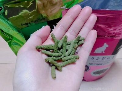 うさぎが鼻つんつんしてくる意味 嬉しい 嫌 飼い主を鼻で押す逃げる理由とは Hanahuwaうさぎ