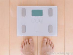 うさぎの適正体重によってペレット量は増減したほうがいい