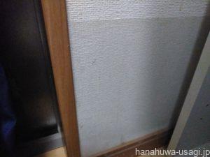 部屋全体を部屋んぽスペースにするなら壁をガードする