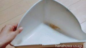 うさぎ手作りクエン酸水で尿石を落とす方法