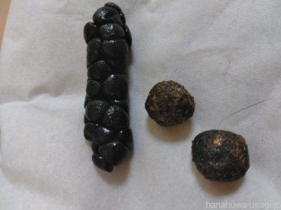 うさぎの盲腸便と硬糞の比較写真