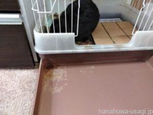 SANKOイージーホームエボと比べるとオシッコの伝い漏れが酷かったケージ