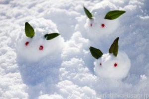 肉垂（マフマフ）の大きさは季節によって大きくも小さくもなる