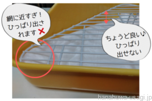 トイレ砂を食べるうさぎにはトイレシートを使う