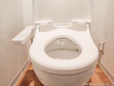 うさぎ流せるトイレ砂はトイレに流していい？