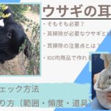 【必要性と危険】うさぎ耳掃除はどこまで?頻度は?耳汚れのチェック方法とキレイにするやり方を解説