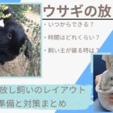 【準備まとめ】うさぎは放し飼いできる?いつから?レイアウト、寝る時、床…完全放し飼い対策を紹介