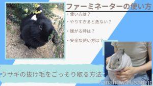 【やりすぎ注意】うさぎファーミネーターの使い方とは？ごっそり抜け毛を取るコツと注意点を紹介