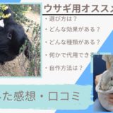 【口コミ】うさぎ用おすすめかじり木はどれ?効果は?使って感じたメリット・デメリットをレビューします