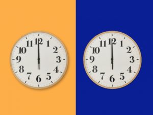 うさぎの部屋を日中は明るく、夜は電気を切って暗くする