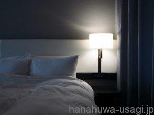 うさぎが夜寝ないのはなぜ？