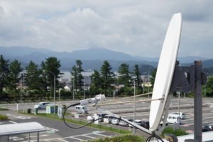 耳の役割1.外敵を察知するレーダー